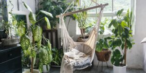 room-interior-design-indoor plants-swing